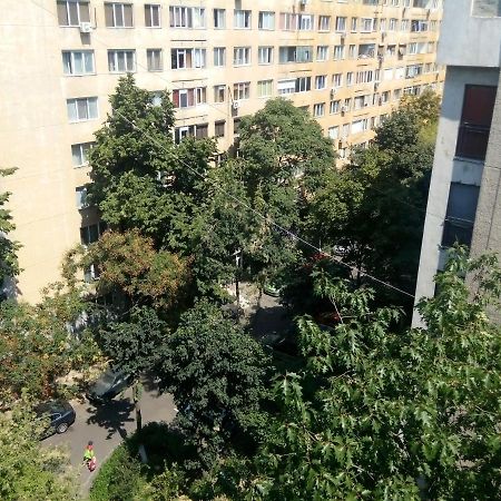 Apartament Sonia ブカレスト エクステリア 写真